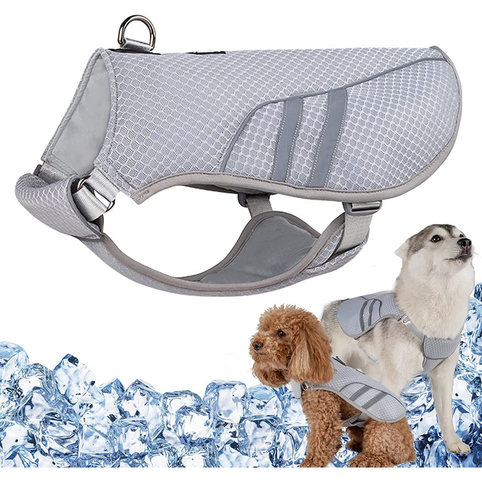 DearDD Cooling Vest for Dogs Summer Cooling Jacket for Dogs, Adjustable Breathable Mesh Dog Vest with Harness D-Ring Warning Vest Dog Coat for Small, Medium, Large Dogs, XL XL (Chest 78-99cm)