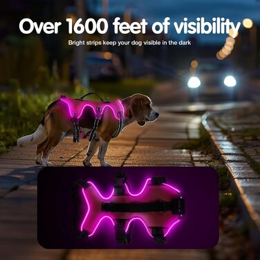 Світловідбиваючий нашийник для собак Jewyow з LED, перезаряджуваний, м'який, регульований, водонепроникний, для середніх та великих собак, зелений (рожевий, M)