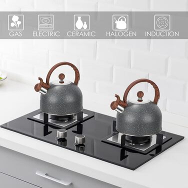 Чайник заварний 2.5L з нержавіючої сталі для всіх плит (індукція), сучасний з дерев'яною ручкою сірого кольору