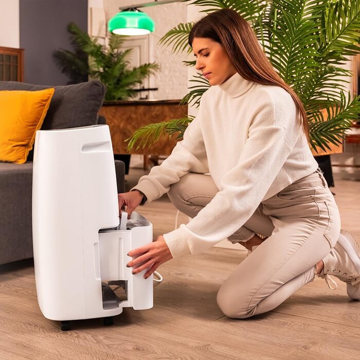 Зволожувач повітря Cecotec BigDry Series 2000: 750 мл/день, резервуар 0.6-2 л, 2 швидкості, 2 режими, площа до 25 м², функція очищення. (2000 Essential), білий