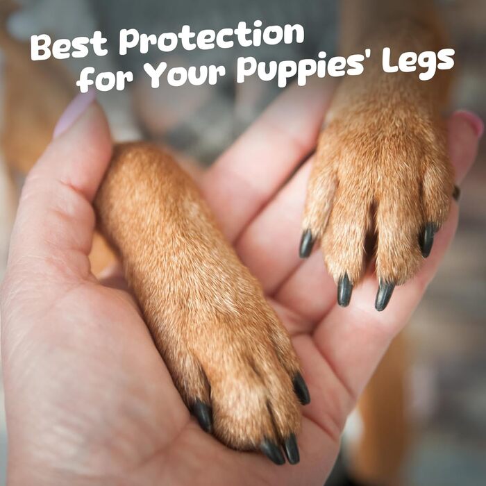 Клітка-манеж для собак та цуценят з дверима, 6-панельна, для дому, біла (156 x 78 x 60 см)