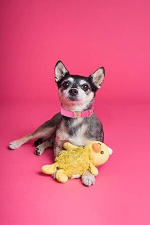 Елегантний поводок та нашийник для собак з натуральної шкіри - міцний нашийник для собак на осінь, регульований для маленьких собак, рожево-рожевий (1 шт.)