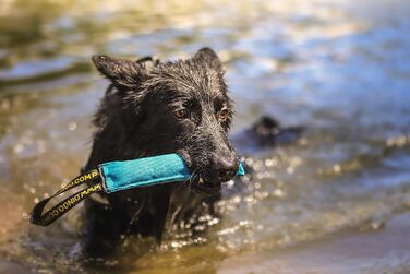 Dingo Dog Toy Bite Sausage Agility Cotton with Handle Handcrafted for Bite Training, Fetching, Floating. 4 Pieces: 15 cm x 6 cm Z30001 (Set of 4: 27x6 cm, Multicolor)