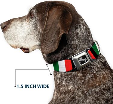 Нашийник для собак Buckle-Down з пряжкою Italy Flags, 2.5 см (1 дюйм) ширина, розмір M (11-17 дюймів)