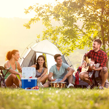 Relaxdays прохолодна коробка маленька 8 літрів