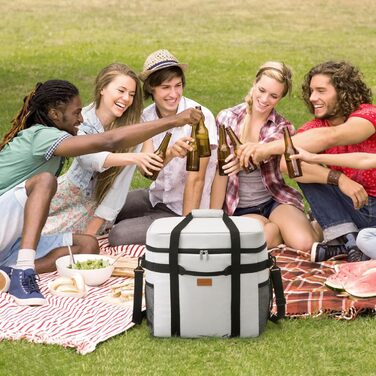 Lifewit Cooler Bag Foldable Picnic Bag for Food & Drinks, Portable Ice Bag for Men, Women, Insulated Thermal Bag for Work, Picnics, Camping (40L, Silk Grey)