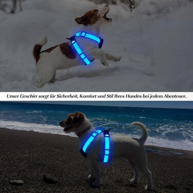 Світловідбиваючий нашийник для собак PZRLit з підзарядкою, для маленьких собак XS, LED нашийник для цуценят, безпечні прогулянки вночі (Блакитний)
