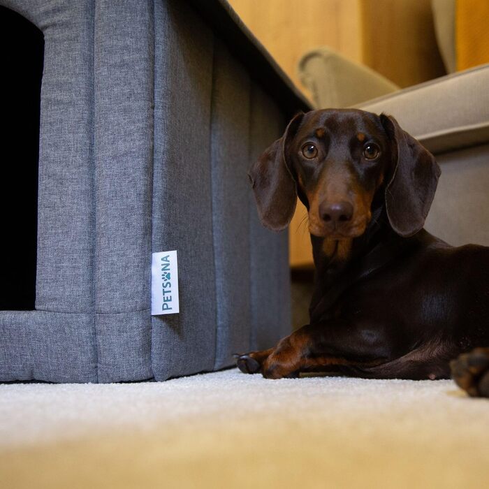 Кімната для собак, собача будка, складана з знімним дахом, ліжко для собак, котяче ліжко, ліжко для домашніх тварин, місце для сну, розмір XXL, сірий колір