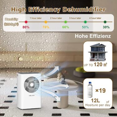 COLAZE 12L/24h Dehumidifier - Electric Dehumidifier Suitable for Room Sizes 120m³ (30m²) - Dehumidifier with Automatic Defrost & Water Level Warning - Room Dehumidifier Under 36dB for Apartment, Basement