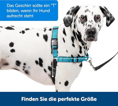 Нашийник для собак PetSafe Easy Walk Deluxe, без обмеження тяги, середній/великий, океаново-блакитний/чорний, з повідком 1.8 м