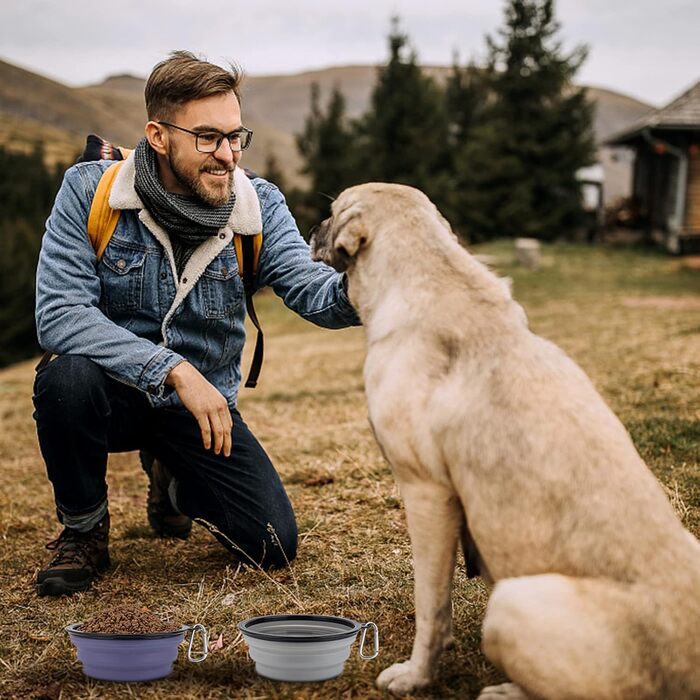 SLSON Складані годівниці для собак, 2 шт., годівниця з кришкою та карабінами, для вигулу, подорожей та повсякденного використання (L, haze purple cool gray)