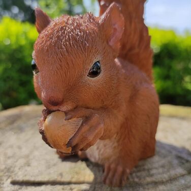 Vivid Arts Real Life Baby Squirrel Resin Indoor or Outdoor Decoration XRL-RS01-F