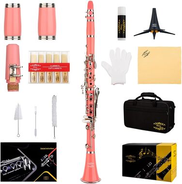 Професійна кларнет Glory GLY-CLAGN з ебоніту, Bb, з аксесуарами (10 вставок, стійка, кейс, серветка, щітки), зелений (рожево-сріблястий)