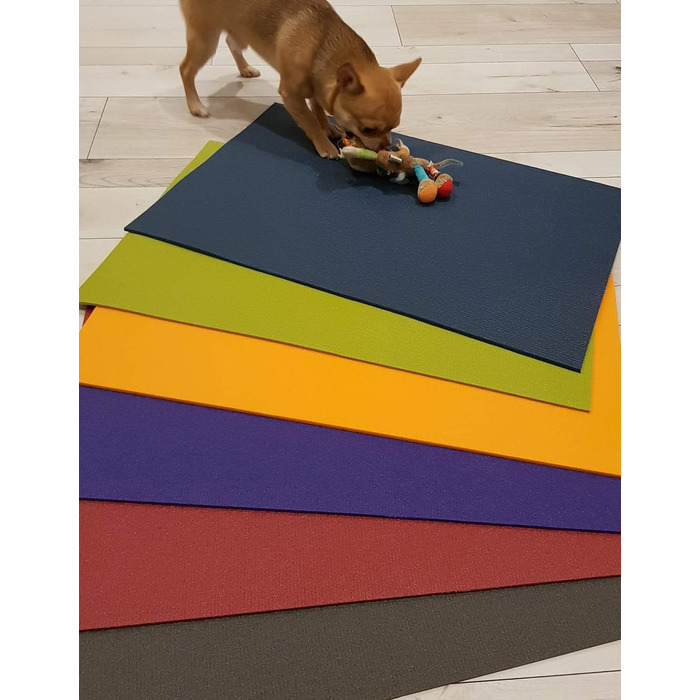 Підкладка під миску SanoZoo для котів (40x60 см, фіолетова) – екологічна, Made in Germany