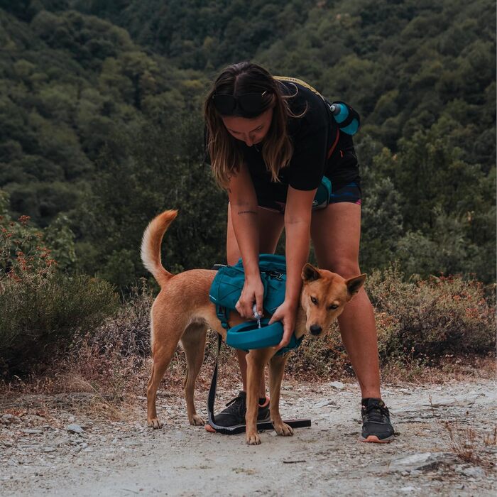 Водна пляшка для собак Kurgo RSG з відстібною сумкою, сумісна з MOLLE, кріплення для службового нашийника, блакитна, універсальний розмір