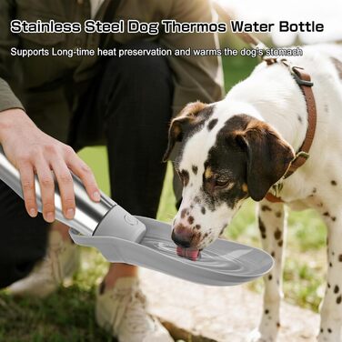 Водяна пляшка для собак на прогулянці 750 мл - витоки неможливі, нержавіюча сталь, подвійні стінки, ізольована, сірий колір