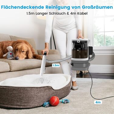 Апарат для чищення м'яких меблів та килимів: волого-пилосос, 450W, з щіткою для шерсті тварин. Підходить для диванів, килимів, автосидінь та сходів (біло-сірий)