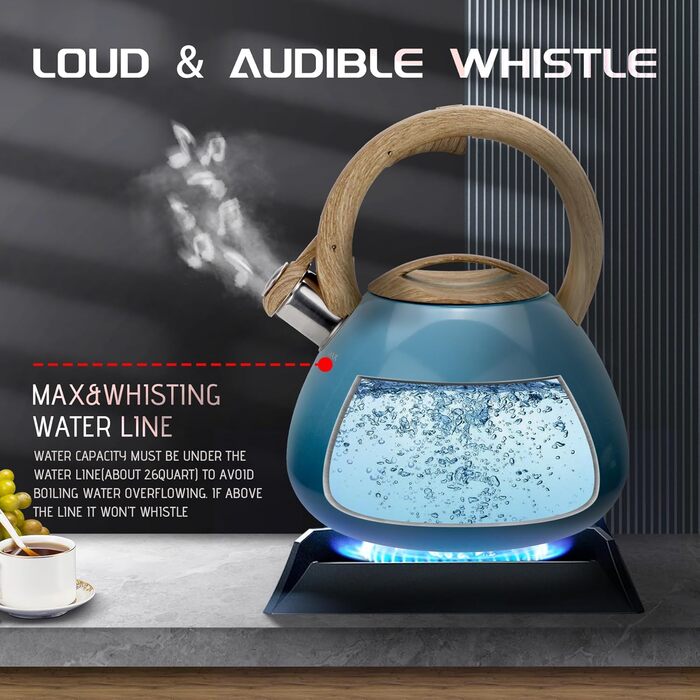 Чайник заварний з нержавіючої сталі Teekessel для плити та індукції, 2.5 л (світло-зелений)