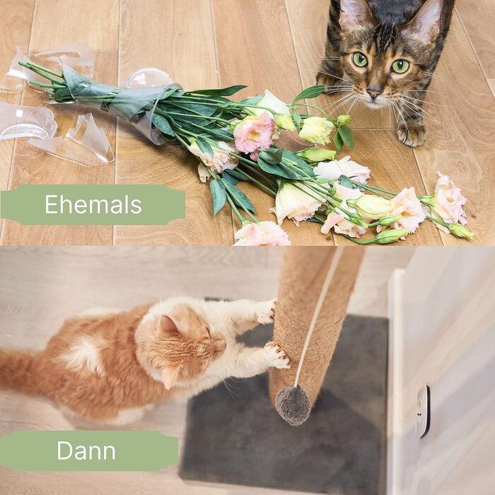 Дряпальня для котів Mobiclinic® Pets Silvestre, середній розмір, сіра, з платформами та сходами