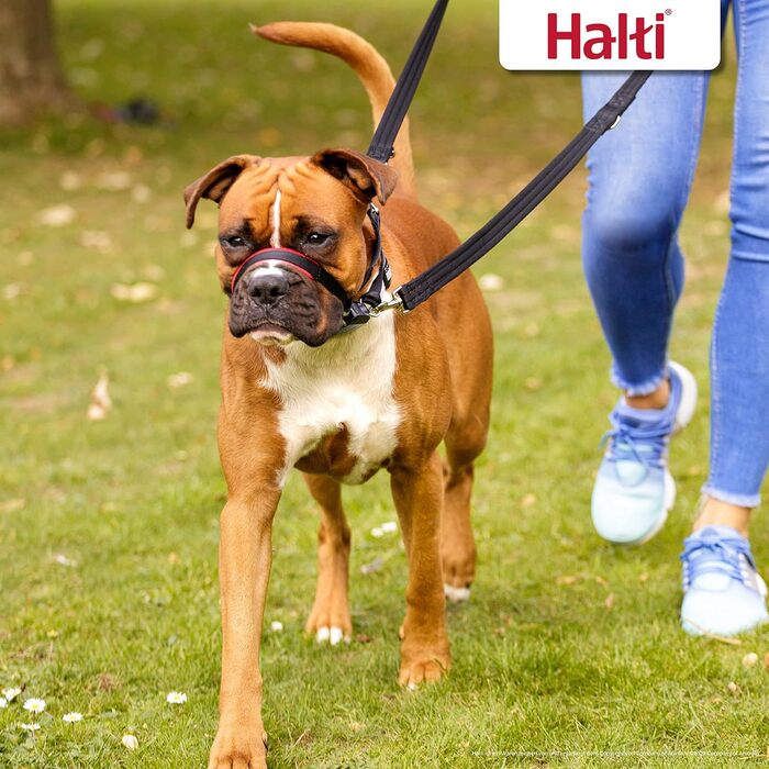 HALTI Optifit Headcollar, Medium Size - Prevents Your Dog from Pulling on the Leash, Easy Adjustment, Lightweight, with Padded Nose Piece, Anti-Pull Harness for Medium-Sized Dogs