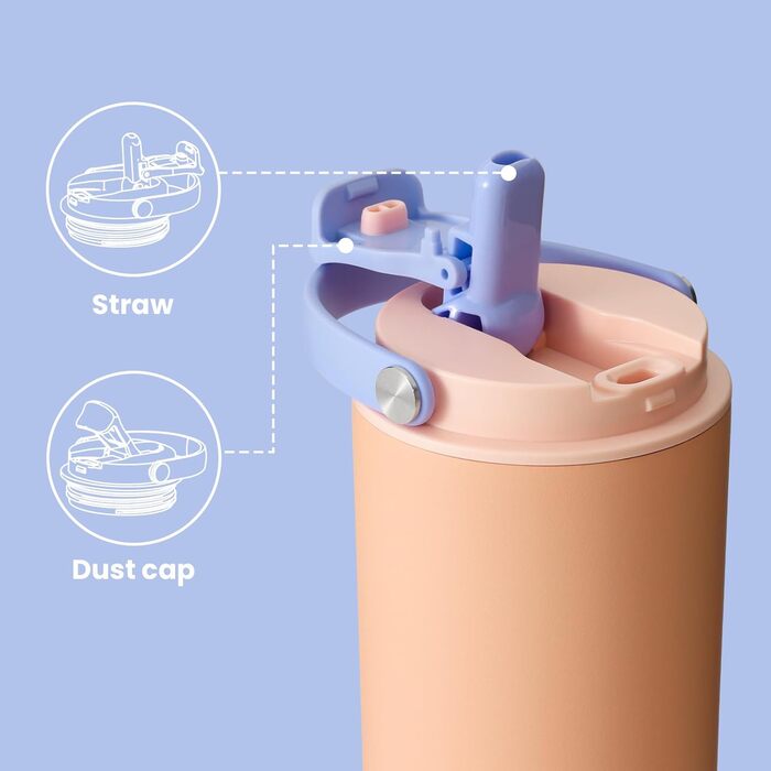 BOTTLE BOTTLE Insulated Water Bottle with Straw and Handle, Stainless Steel Water Bottles for Car, Sports, Home, Office, and School, 750 ml, Leak-Proof, Peach