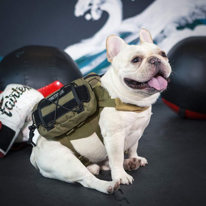 OneTigris EDC-сумка для корму для собак, MOLLE-сумка, підходить для собачого спорядження та тренувань (2 шт., коричнева)