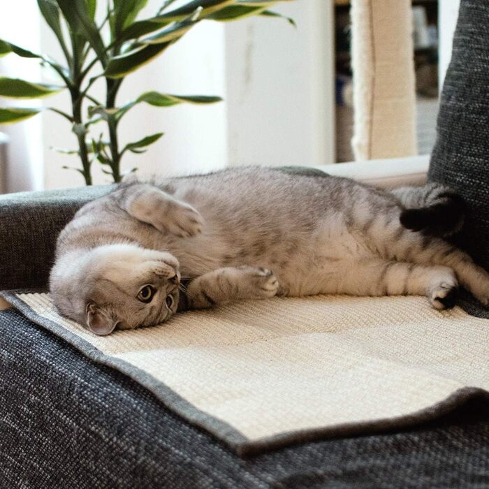 Navaris Cat Scratch Mat Scratch Protection Sofa - Sisal Scratch Rug 130 x 45 cm for Cat - Couch Cat Scratch Mat - also suitable for dogs - (Light Grey - white)