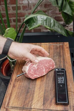 Беспроводний термометр для гриля Santos – Контроль через додаток (Android & iOS) – Дальність 100м – Подвійний датчик – До 300°C – Магнітне кріплення