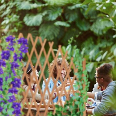 Relaxdays Trellis, extendable, freestanding, for garden, balcony, terrace, climbing aid, HxBxT: 100 x 165 x 30 cm, brown
