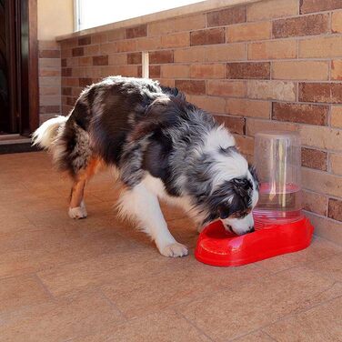 Автоматичний диспенсер для корму та води Ferplast AZIMUT 5500 для великих собак, 5,5 л, білий