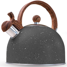 Чайник La Moustache Induktion 2.5L з нержавіючої сталі, 10 чашок, сірий. Електричний чайник для всіх типів плит.