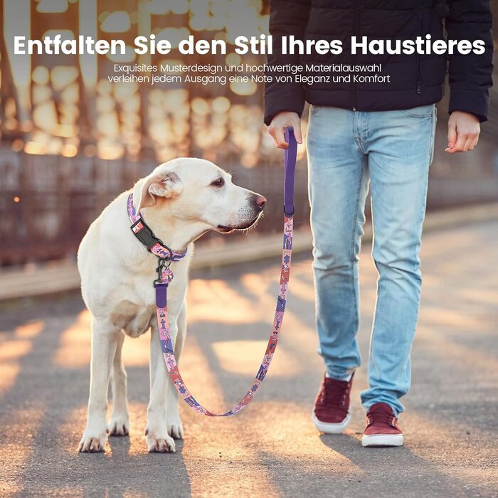 Набір повідка та нашийника для собак, регульований, для щоденних прогулянок, фіолетовий, XS (22-30 см, 1.5 м)