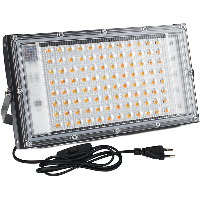 LED Floodlight 100W, Plug-in LED Floodlight, 2 Pieces 10000 Lumen LED Floodlight 3000K Warm White Outdoor Floodlight with IP65 Waterproof for Bright Garden Garage Sports Field (1 Piece)