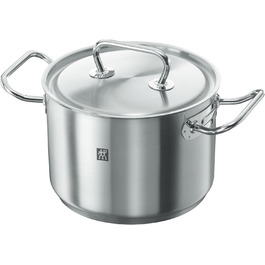 ZWILLING Twin Classic Saucepan with Lid, 6 L, Induction-compatible, Stainless Steel (20 cm)