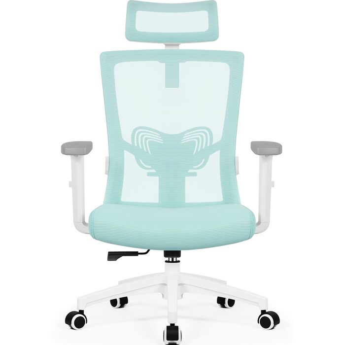 Ергономічне крісло Daccormax для офісу: регульована підголовник, підлокітники, підтримка попереку, поворотний механізм, функція гойдання, сітчасте крісло, турбота про спину, 150 кг (Турквіс)