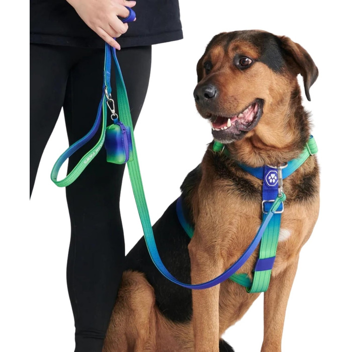 Шлейка для собак Spark Paws No Pull для великих порід, з переднім кріпленням, Y-подібна, міцна та надійна, Lime Wave, L (36-68 кг)