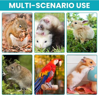 Транспортна сумка для кота та собаки, переноска для тварин з плечовим ременем, 30x27x21 см