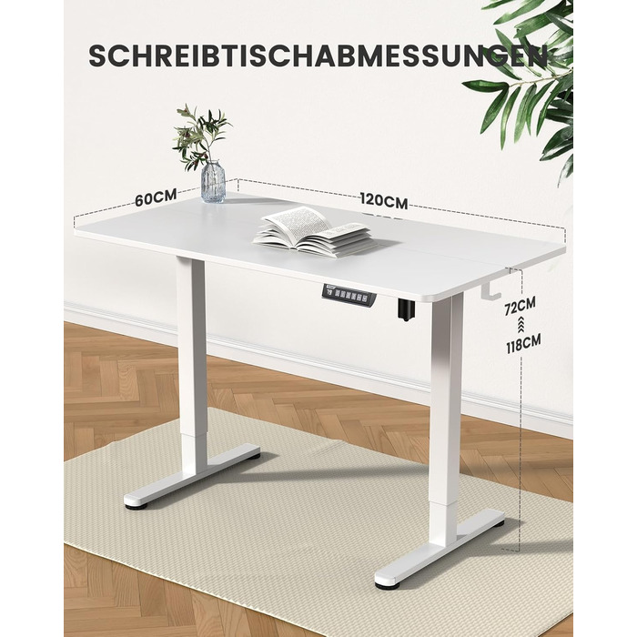 ErGear Electric Standing Desk - 100x60cm - Height Adjustable Desk with Memory Function for Home Office & Connection Plate