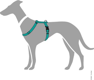 Набір посуду Vario Rapid, колір Petrol, розмір S (S-M)