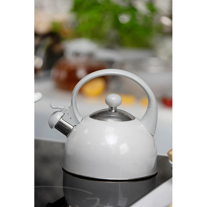 Чайник електричний з нержавіючої сталі Galicja Molly, 1.7л, зелений (сірий), для плити/індукції