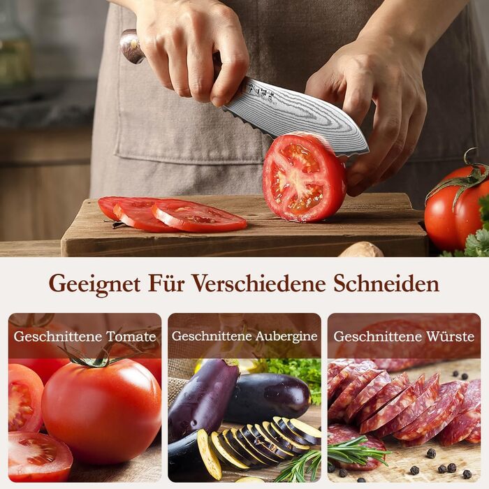 HEZHEN ніж кухарський 21 см з дамаської сталі 67 шарів, професійний, з дерев'яною піхвою, Full Tang з мікарти