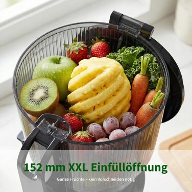 Шнекова соковижималка Entsafter Slow Juicer SJ-065, 400 Вт, XL-завантажувач 152 мм, Titanium Gray