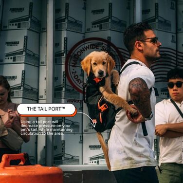 Рюкзак-переноска для собак Little Chonk Maxine One Medium, чорний, для середніх порід, регульований, для подорожей та хайкінгу