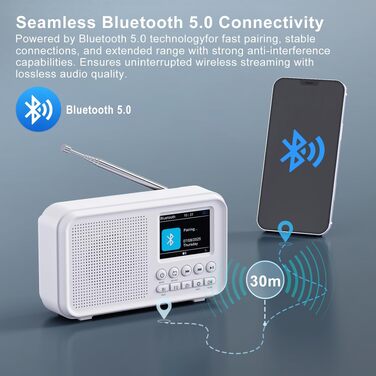 Портативне DAB/DAB+ радіо з Bluetooth 5.0, FM, акумулятором 3000mAh, будильник, еквалайзер, підтримка TF-карт, 2.4