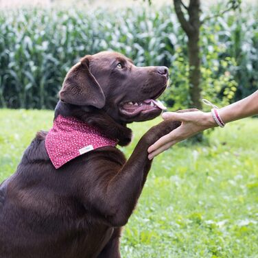 Pettsie dog bandana with collar and friendship bracelet, Adjustable sizes S, M, and L, Detachable bandana cloth, Attractive packaging included, Dog lover, L, Red