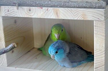 Vogelgaleria® Sweet Birdhouse, Wooden Sleep House for Bird Cages or Aviaries | Loved as a Sleeping Place and Shelter for Budgies, Cockatiels, and Lovebirds | Bird Cage Accessories Birdhouse