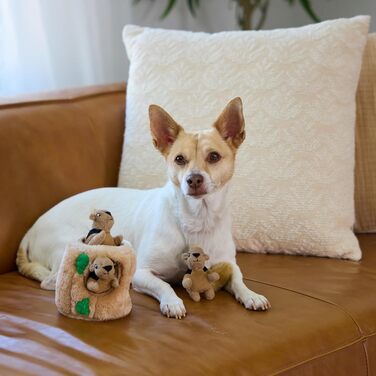 Іграшка для собак Outward Hound Hide A Squirrel XL, плюшева, інтерактивна, 3 білки