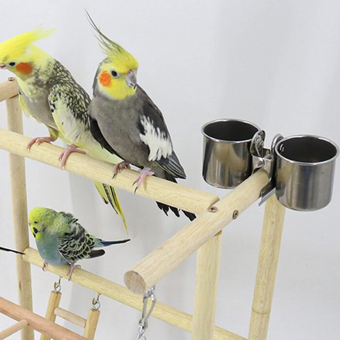 Bird Playground, budgie toys, bird play stand, bird gym, bird accessories, climbing frame with feeder cups, tray, swing for parakeets, canaries, finches, etc. (#8)