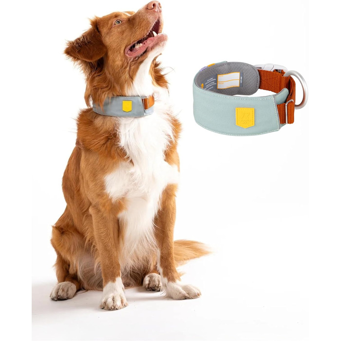 Нашийник для собак середнього розміру Woolly Wolf Alpha 360, розмір M, колір Гляцієрово-зелений - екологічний, зручний, з відбиваючими елементами для безпеки