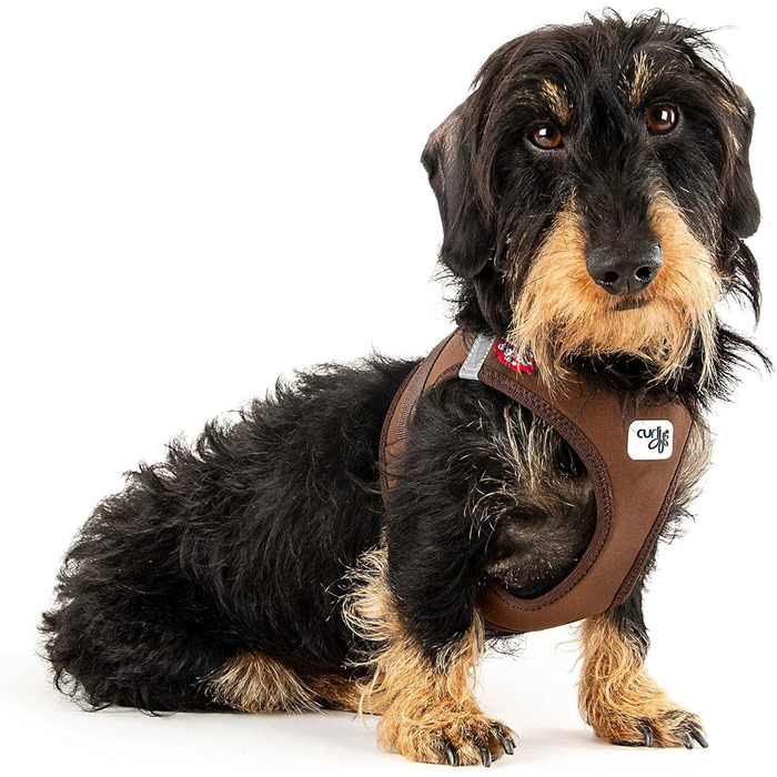 Шлейка для собак Curli Clasp Softshell (S, Коричневий)